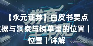 【永元证券】白皮书要点：数据与洞察与榜单里的位置｜详解
